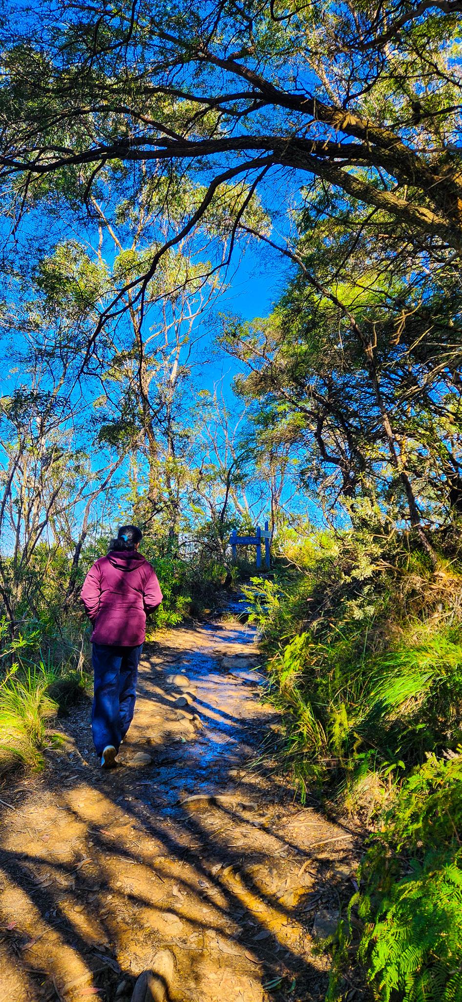 Porters Pass Track